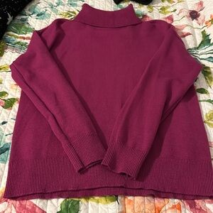 Vici Turtleneck Sweater